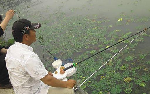 初学者钓鱼技巧，新手如何钓鱼？